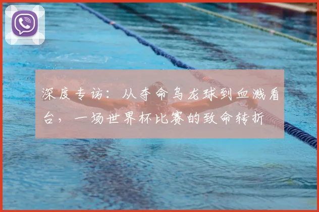 深度专访：从夺命乌龙球到血溅看台，一场世界杯比赛的致命转折
