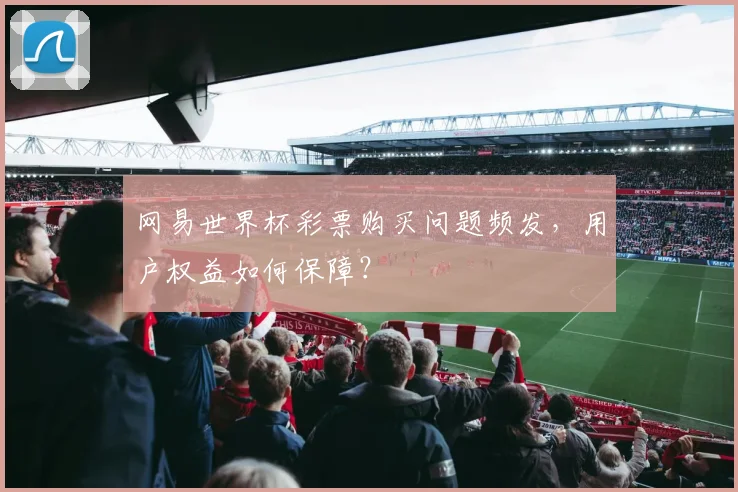 网易世界杯彩票购买问题频发，用户权益如何保障？