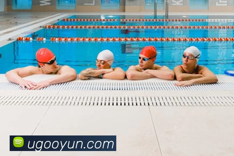 App Interface Preview